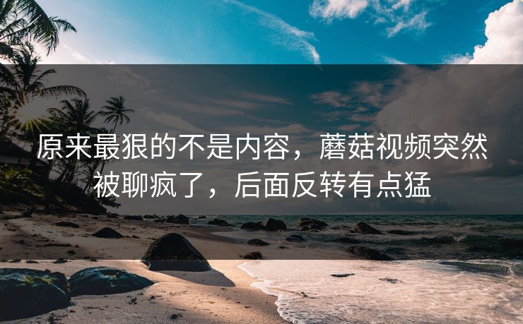 原来最狠的不是内容，蘑菇视频突然被聊疯了，后面反转有点猛