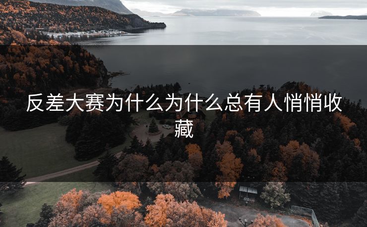 反差大赛为什么为什么总有人悄悄收藏