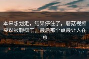 本来想划走，结果停住了，蘑菇视频突然被聊疯了，最后那个点最让人在意