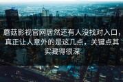 蘑菇影视官网居然还有人没找对入口，真正让人意外的是这几点，关键点其实藏得很深