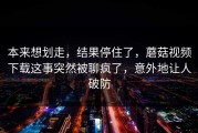 本来想划走，结果停住了，蘑菇视频下载这事突然被聊疯了，意外地让人破防