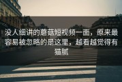 没人细讲的蘑菇短视频一面，原来最容易被忽略的是这里，越看越觉得有猫腻