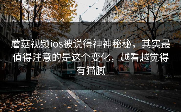 蘑菇视频ios被说得神神秘秘，其实最值得注意的是这个变化，越看越觉得有猫腻