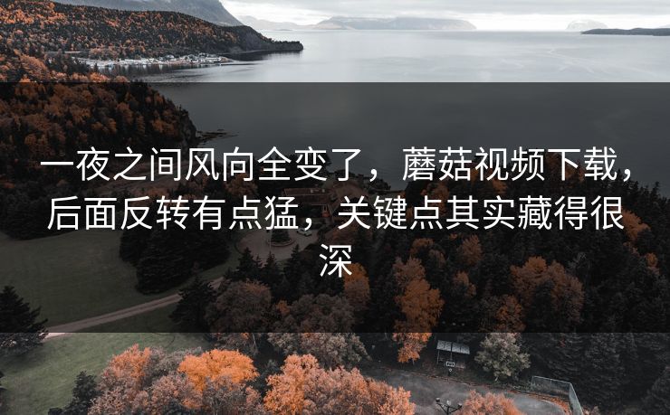 一夜之间风向全变了,蘑菇视频下载,后面反转有点猛,关键点其实藏得很深 一夜之间风向全变了,蘑菇视频下载,后面反转有点猛,关键点其实藏得很深