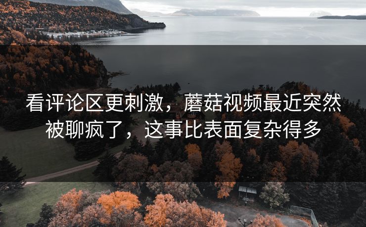 看评论区更刺激，蘑菇视频最近突然被聊疯了，这事比表面复杂得多