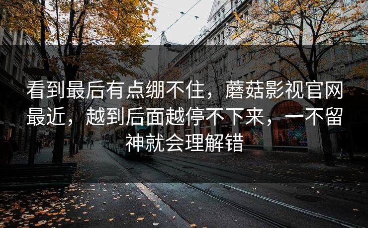 看到最后有点绷不住，蘑菇影视官网最近，越到后面越停不下来，一不留神就会理解错