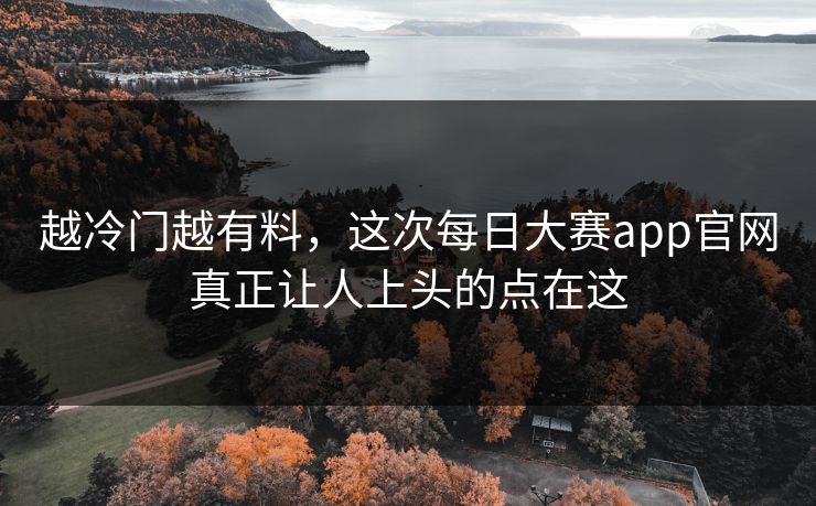 越冷门越有料，这次每日大赛app官网真正让人上头的点在这