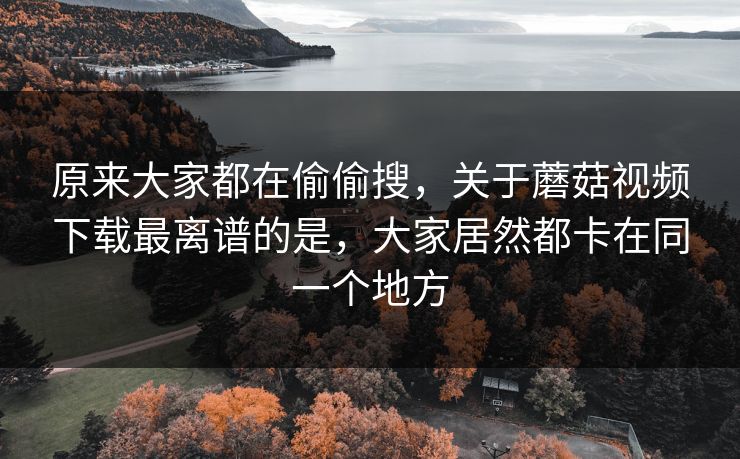 原来大家都在偷偷搜,关于蘑菇视频下载最离谱的是,大家居然都卡在同一个地方 原来大家都在偷偷搜,关于蘑菇视频下载最离谱的是,大家居然都卡在同一个地方