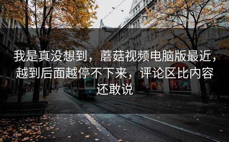 我是真没想到，蘑菇视频电脑版最近，越到后面越停不下来，评论区比内容还敢说