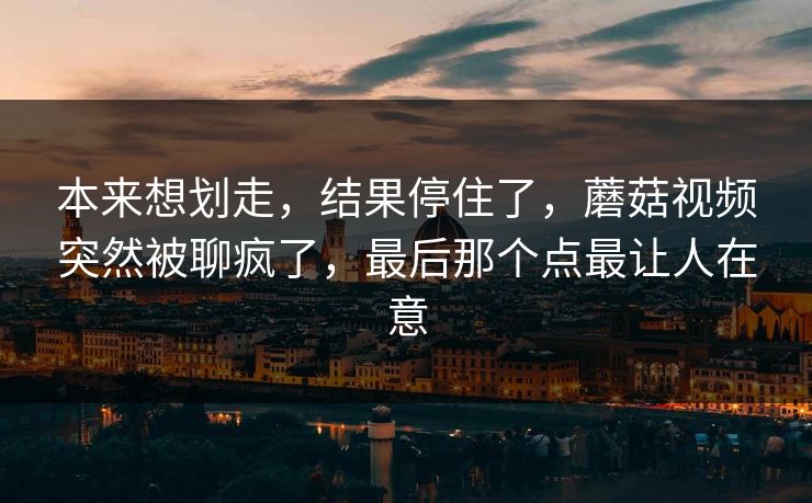 本来想划走，结果停住了，蘑菇视频突然被聊疯了，最后那个点最让人在意