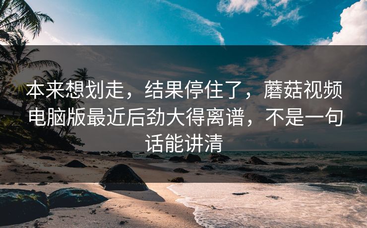 本来想划走，结果停住了，蘑菇视频电脑版最近后劲大得离谱，不是一句话能讲清