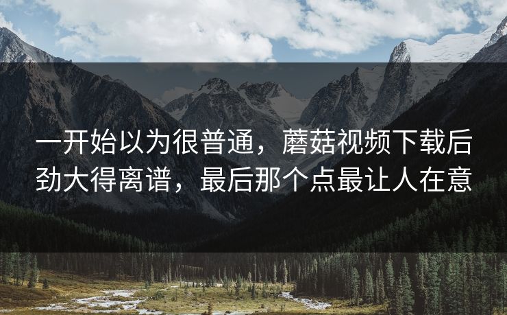一开始以为很普通，蘑菇视频下载后劲大得离谱，最后那个点最让人在意