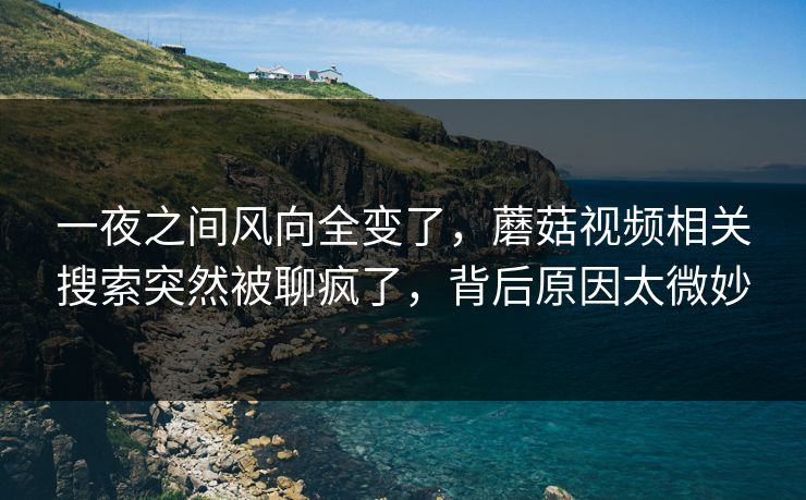 一夜之间风向全变了,蘑菇视频相关搜索突然被聊疯了,背后原因太微妙 一夜之间风向全变了,蘑菇视频相关搜索突然被聊疯了,背后原因太微妙