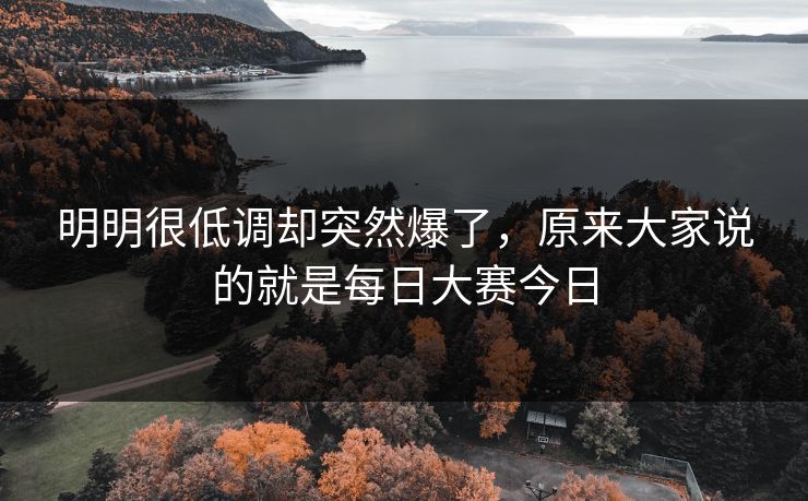 明明很低调却突然爆了，原来大家说的就是每日大赛今日