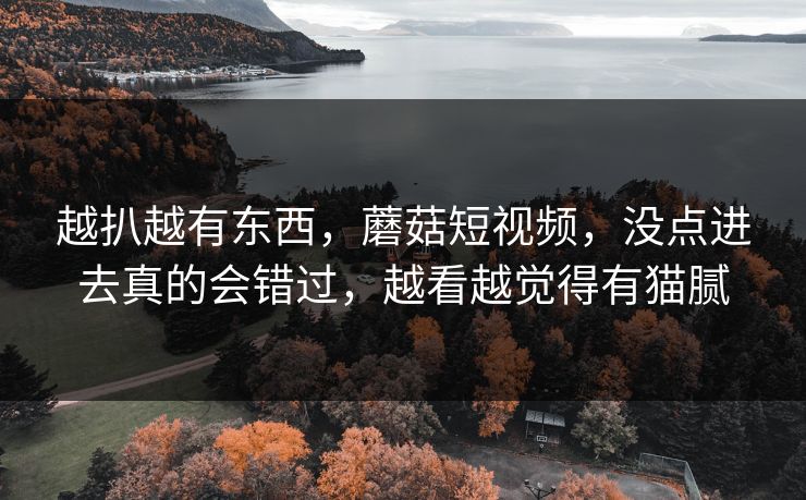 越扒越有东西，蘑菇短视频，没点进去真的会错过，越看越觉得有猫腻
