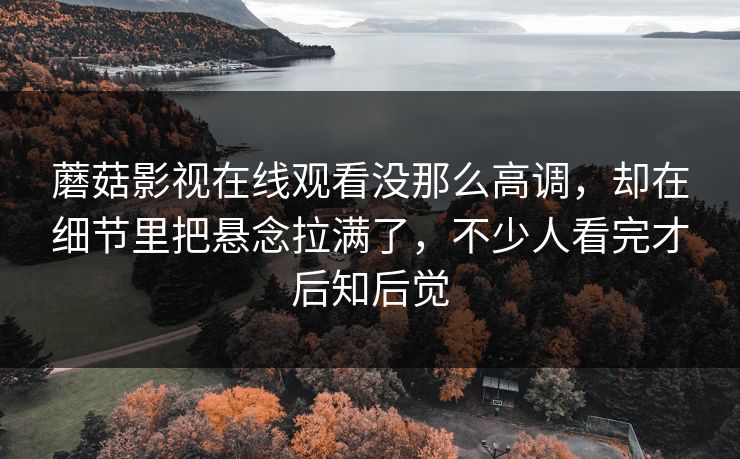 蘑菇影视在线观看没那么高调，却在细节里把悬念拉满了，不少人看完才后知后觉