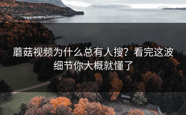 蘑菇视频为什么总有人搜?看完这波细节你大概就懂了 蘑菇视频为什么总有人搜?看完这波细节你大概就懂了