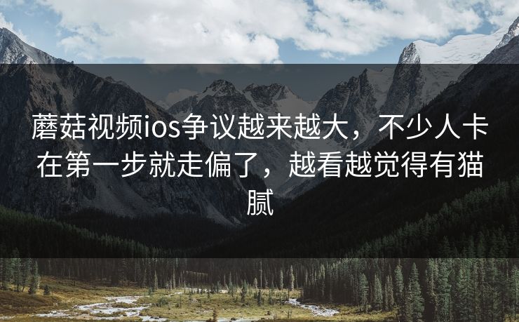 蘑菇视频ios争议越来越大，不少人卡在第一步就走偏了，越看越觉得有猫腻